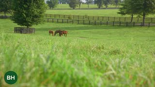 Legends of the Land: Claiborne Farm