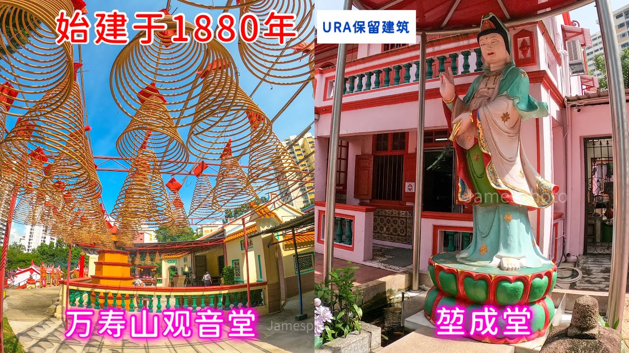六月十九观音诞拜访两间毗邻140年观音庙｜新加坡直落布兰雅万寿山观音堂、堃成堂，URA受保留建筑。Singapore Telok