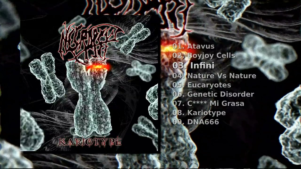 Kariotype