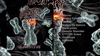 Necropsy — Kariotype