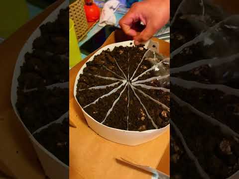 After Dinner Some Sweet Time 