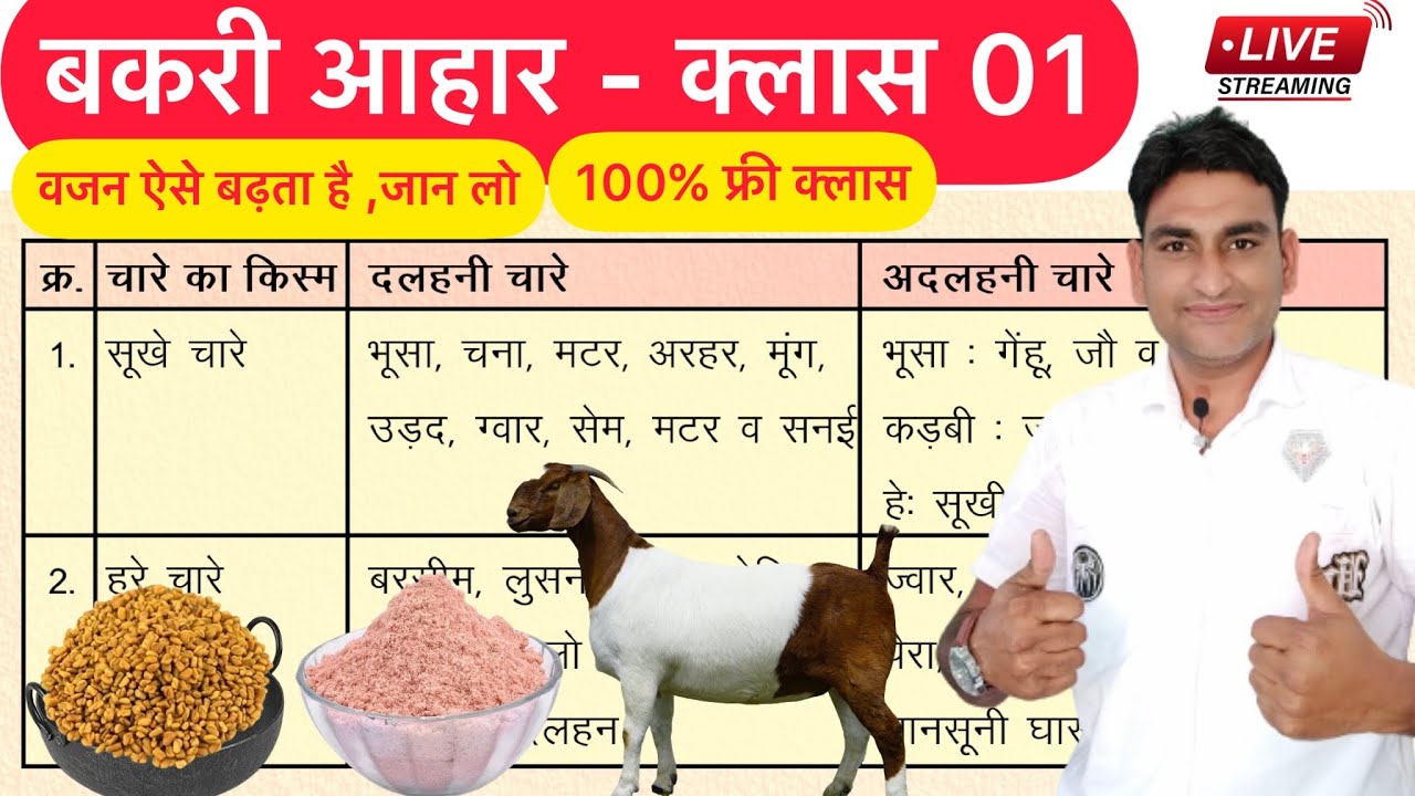 Goat Feed :Green & Dry Fodder ||भेड़ बकरी का हरा व सूखा चारा ||Goat Farming बकरी पालन ||Nisar Indian