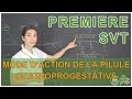 Mode d'action de la pilule combinée œstroprogestative - SVT - 1ère S - Les Bons Profs
