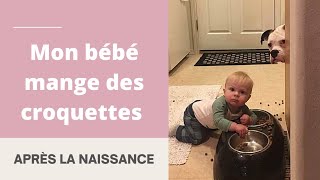 Mon Bébé À Mangé Des Croquettes - Youtube