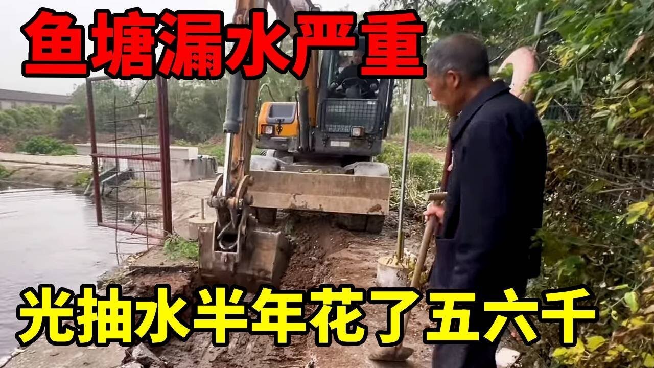 接到粉丝求助，鱼塘漏水严重，光抽水半年花了五六千。#鱼塘堵漏 #堵漏圣手#挖掘機 #挖掘機日常 #生活vlog #挖机