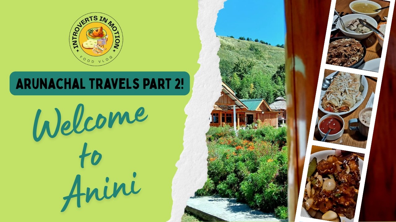 Anini Arunachal Vlog | Food, Travel & The End of Our Journey