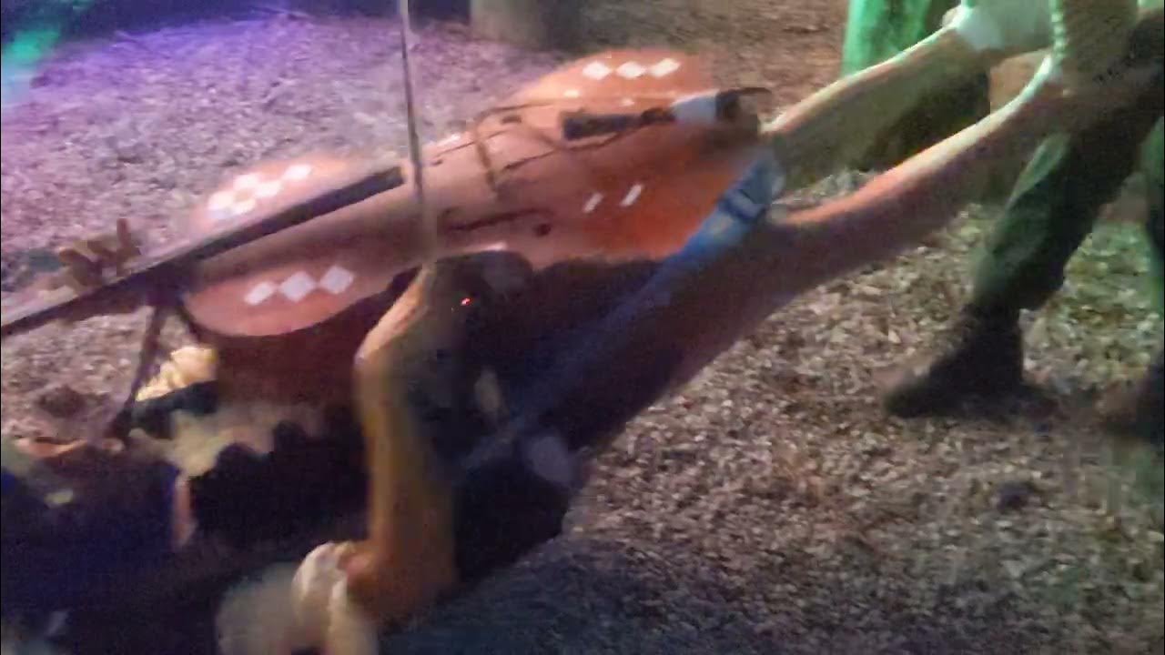 Rushad Eggleston // dragon goblin kazoo besmirchment cello lawnmower