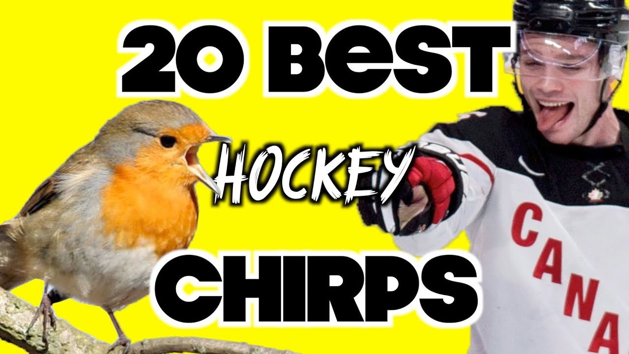 20 Best Hockey Chirps - YouTube