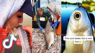 FIshing Seafood 🦐🦀 (Octopus, Crab, Catch Fish) - TikTok Compilation