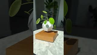 Floating planter 😍 #plant #houseplants Floating planter 😍 #plant #houseplants