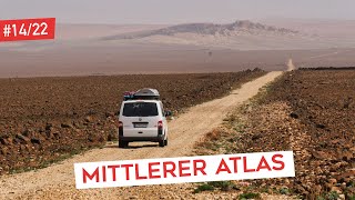 Im Mittleren Atlas | Berberaffen | Sabbatical (6)