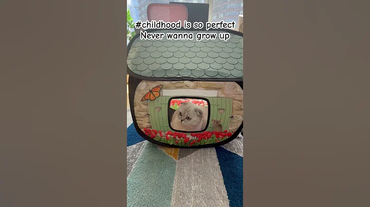Watch the video about Never wanna grow up😭 #kikicutekitty #relatable #funny #scottishfold #cathouse #dollhouse #fyp