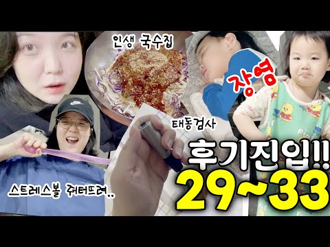 [둘째임신 29~33주] 우리 가족 장염에 기관지염에 이런 염병...봄이 뭐 이래. 인생국수 찾음.
