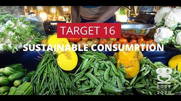 Transformative actions needed to implement the KMGBF Target 16!