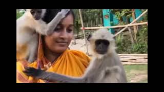 monkey baby 🐒 is love for a human mom/#monkey baby