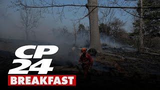 City of Toronto to conduct controlled burn in High Park