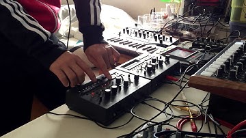 "Are you ready?"DRUMBRUTE/minilogue/monotribe/kp3