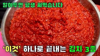 초간단 김치 고수되는 법 (열무김치,배추김치,파김치)