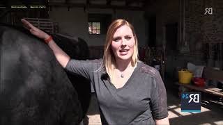 a naughty lady riding the cow (a.r.)
