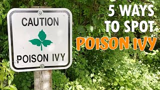 The 5 Poison Ivy Giveaways You Need To Know