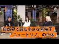 「ニュートリノ」を調べると宇宙の始まりが分かる？素粒子研究の最前線【多田将×堀江貴文】