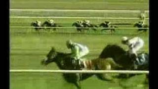 Showing Up - 2006 Secretariat Stakes