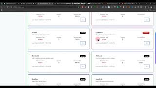 DNS Project Working Video