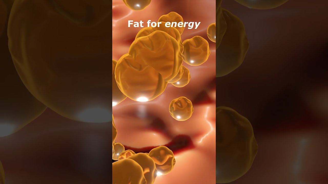 72 Hour FASTING Benefits How Your Body CHANGES Shorts