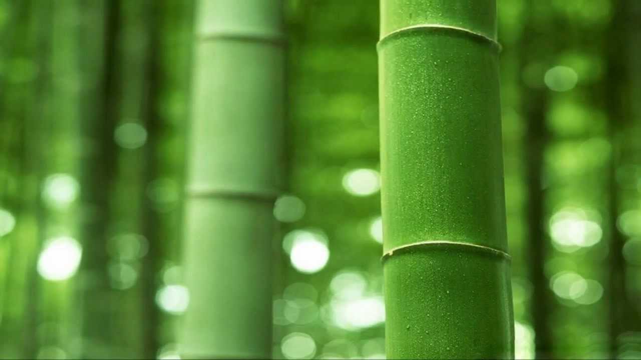 Innocence - Joker Jam HD