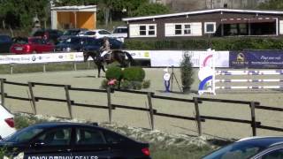 Turnier Waldbredimus 2015 Melanie Bischoff Shakazulu Vd Withoeve Z - Springpferde A