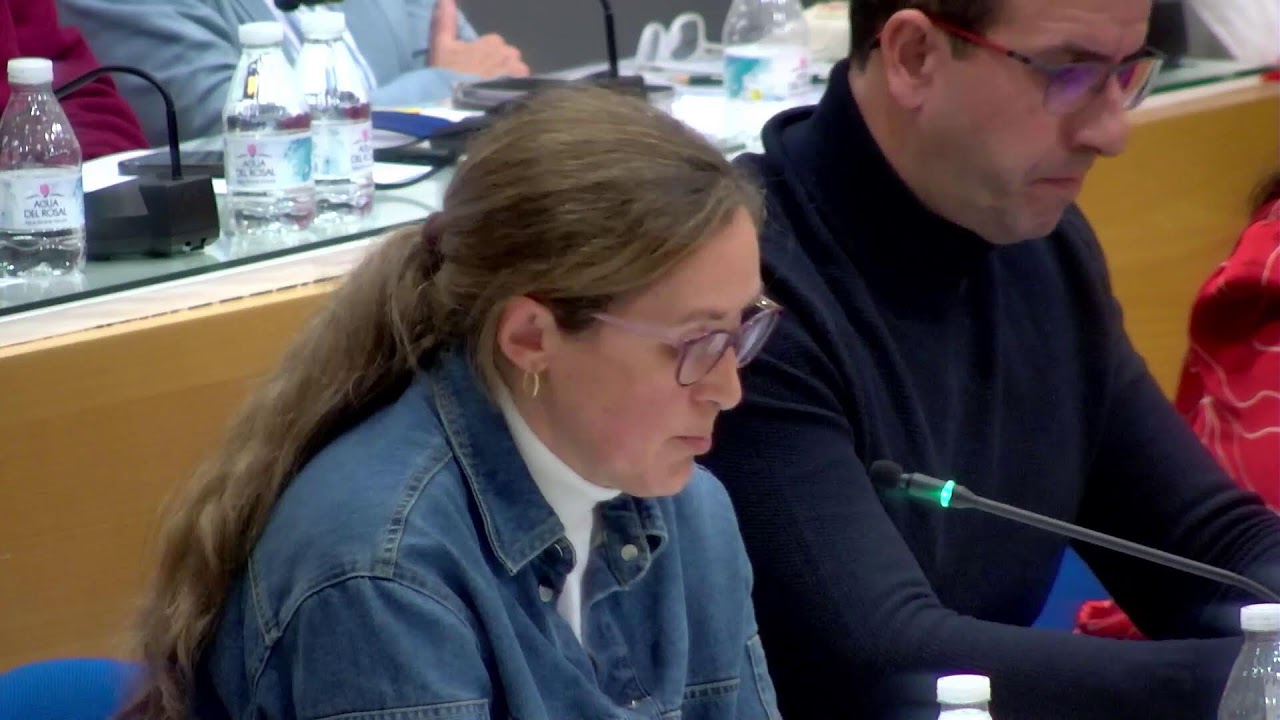 Pleno Ordinario Enero