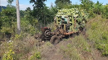 xe công nông 2 câu chở chuối đây xe cực kỳ khỏe phân 12