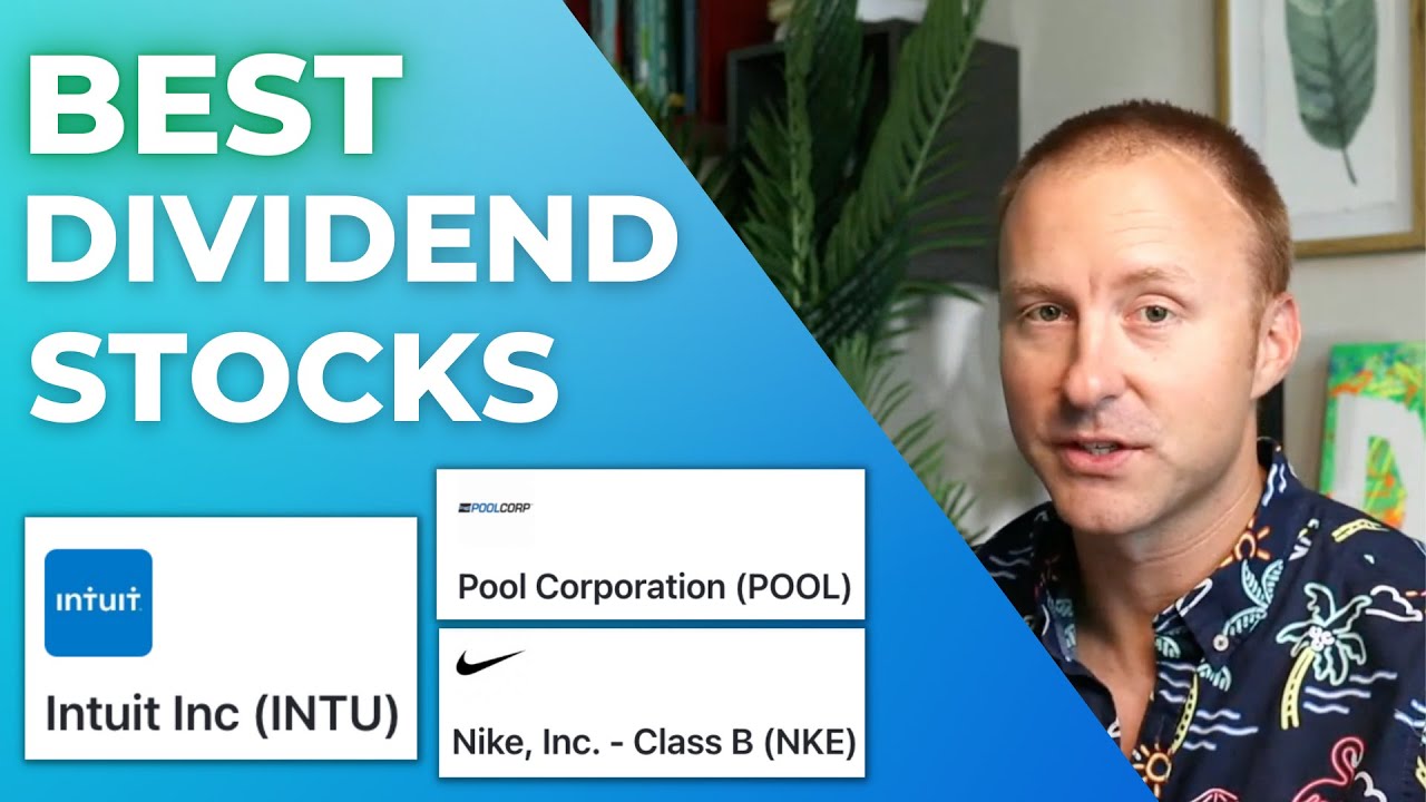 Best Dividend Stock? Income, Growth, Dividend Safety