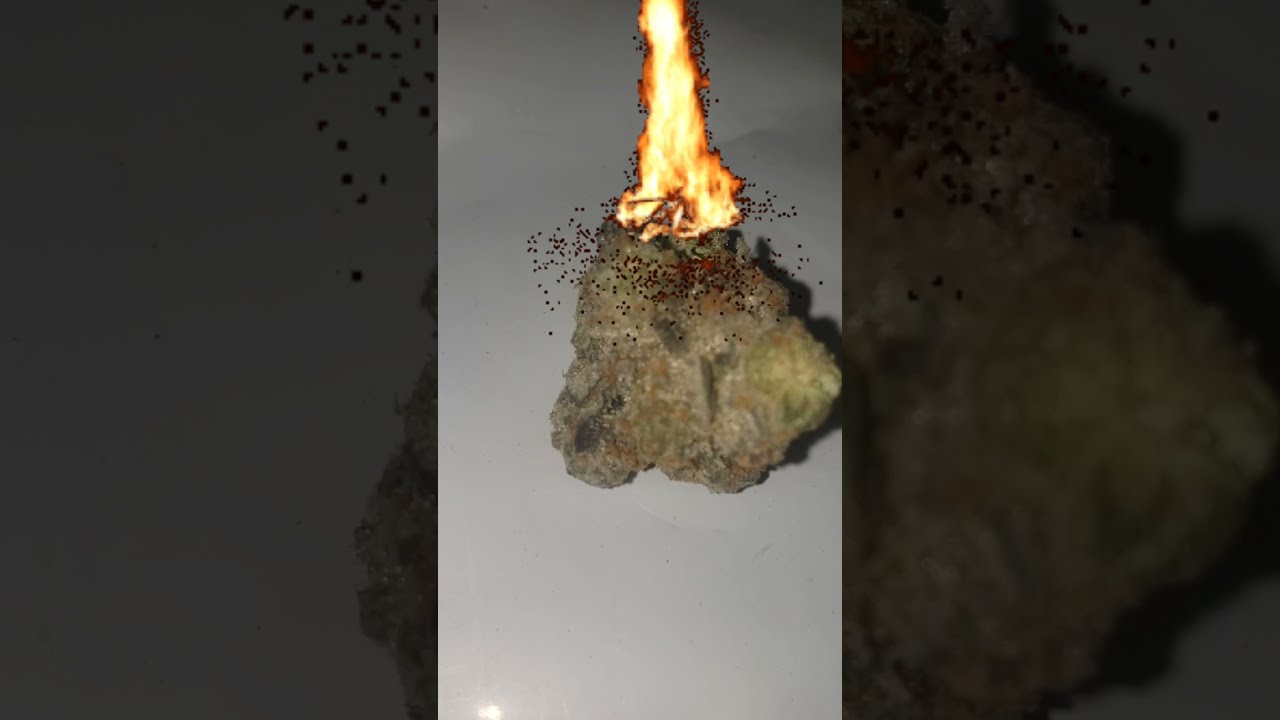 Richard Petty OG Strain Review