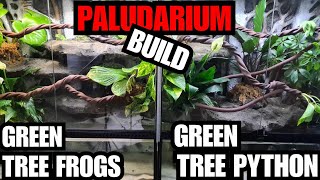 Famous Green Tree Python/Green tree Frog Paludarium/Terrarium Build Profile