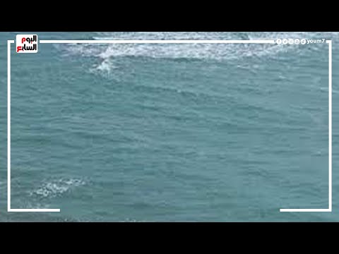 أمطار خفيفة على الإسكندرية وسرعة الرياح 60 كيلو مترا فى الساعة