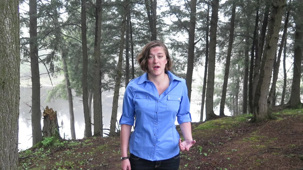 Internship Second Round Video