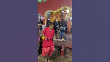 Maa Babla Kali Please Stop This Kali Babla Kali Rampurhat Shorts Stop 