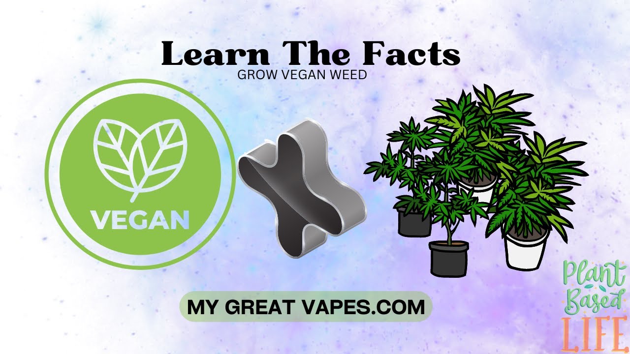 How to Grow Vegan Weed Like a Pro