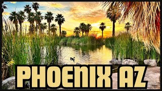 Roadtrip Adventures: Phoenix to Sedona and Grand Canyon! Family things to do!