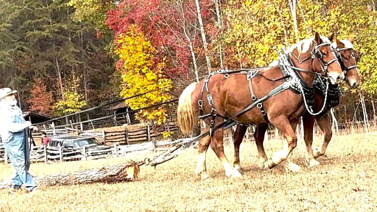 Cinder Ridge Farm Festival