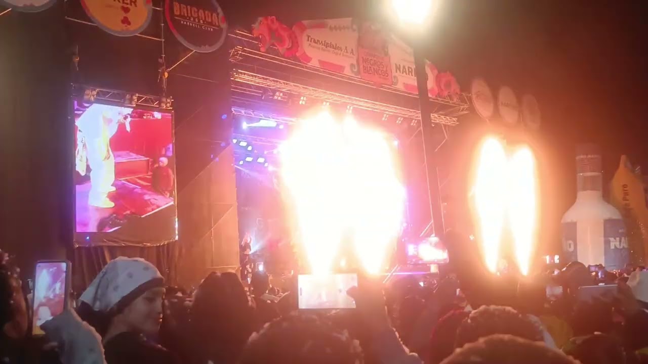 Te pintaron pajaritos en el aire