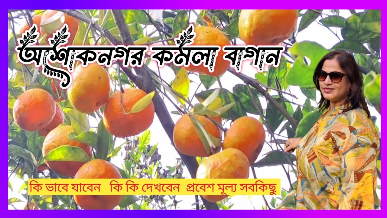 Ashok Nagar সুধীর বাবুর Kamala Bagan.Mini Sitong Near Kolkatta. One Day Tryp Near Kolkatta .