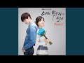 Dolphin 돌고래 Dolphin 돌고래