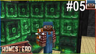 Homestead #05 - Netherite and XP Storage @GrokDuckFarmer