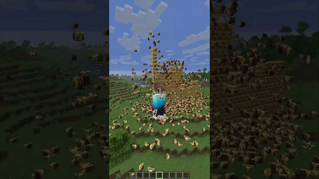Minecraft Short Edit 4