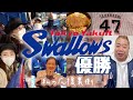 【ヤクルト優勝🏆】私の応援裏側Vlog【ヤクルトスワローズ🐧】