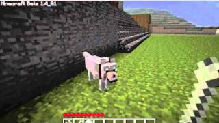 Minecraft Wolf Glitch Must See