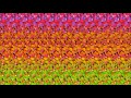 Animated stereogram guess whats in the hidden 3d