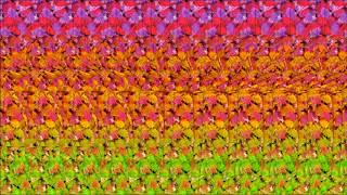 Animated Stereogram. Guess Whats In The Hidden 3D